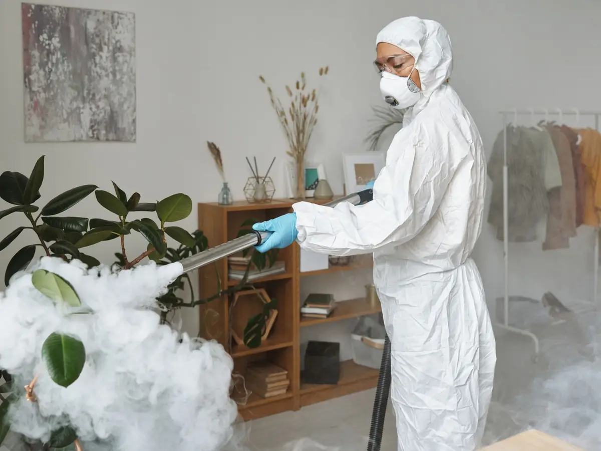DISINFECTION